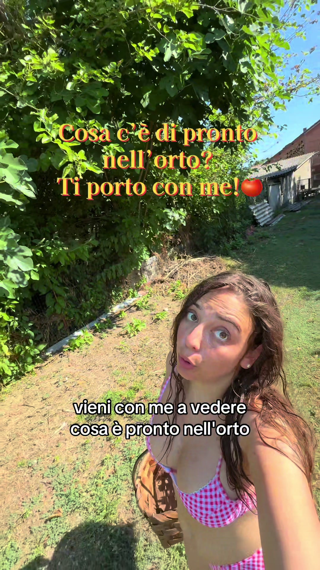 @valerianorese