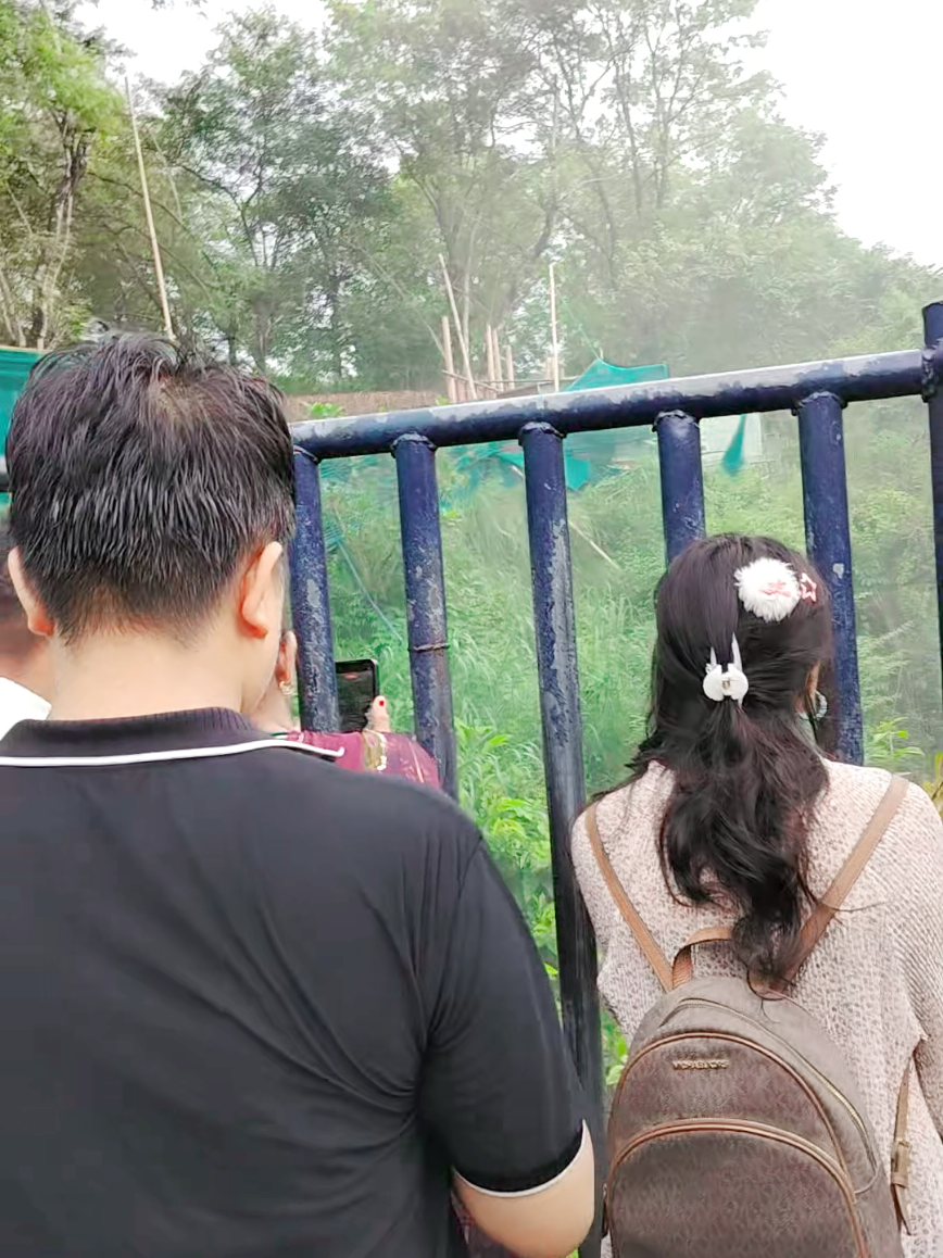 @ranzuu Lama