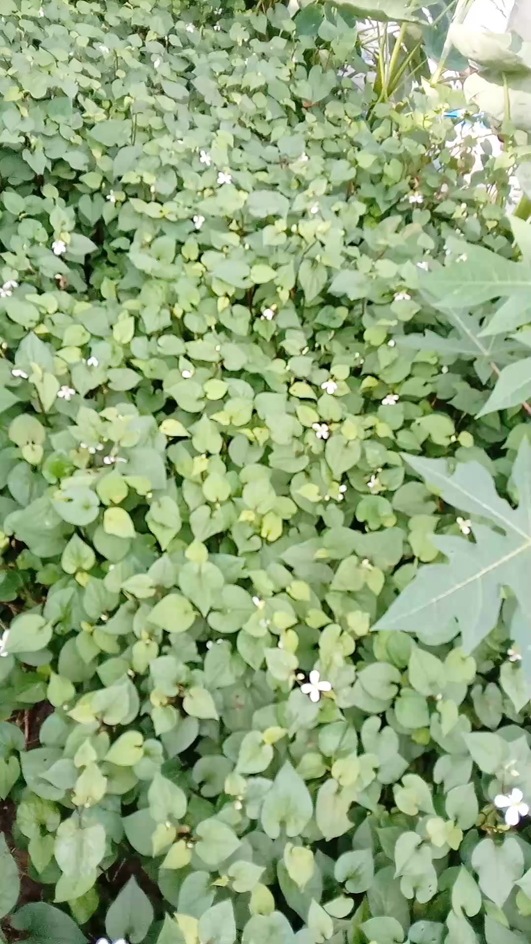 @thương công sức khỏe