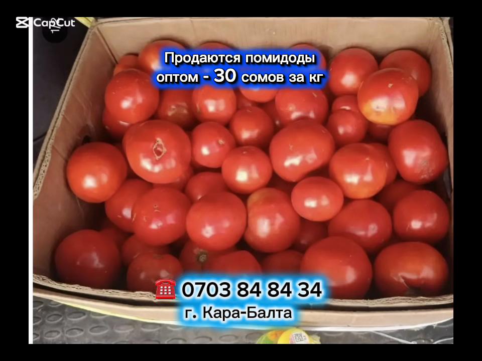 @Новости karabalta_87