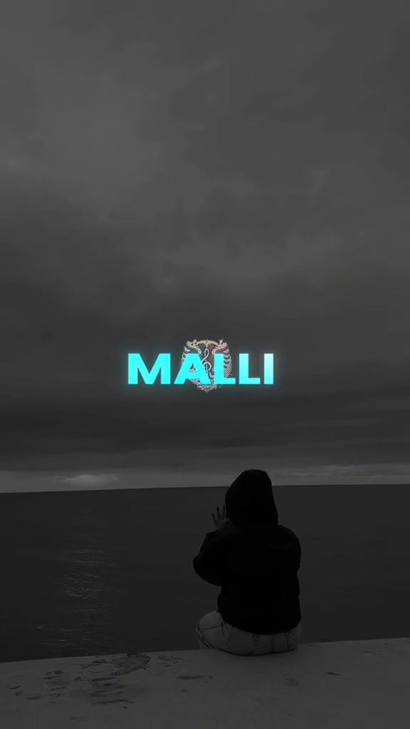 @Shqip1muzik 🦅