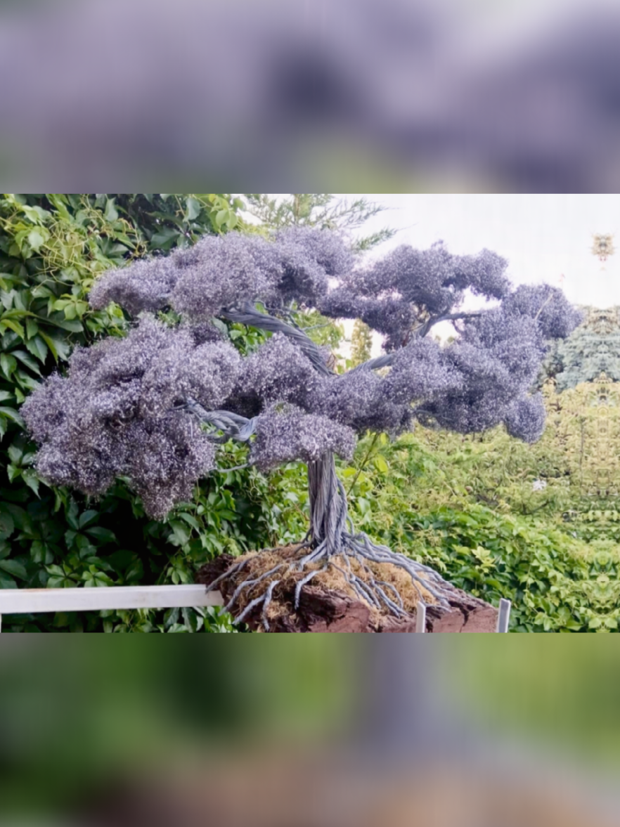 @TreeofLifeArtfan