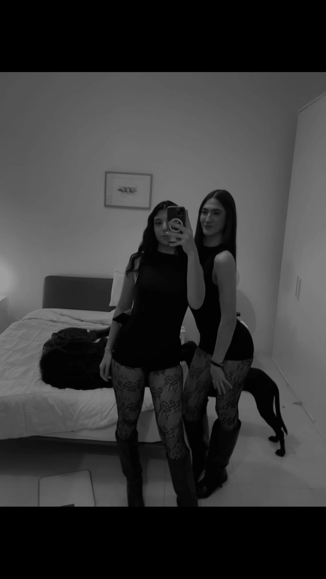 @ludo_devito