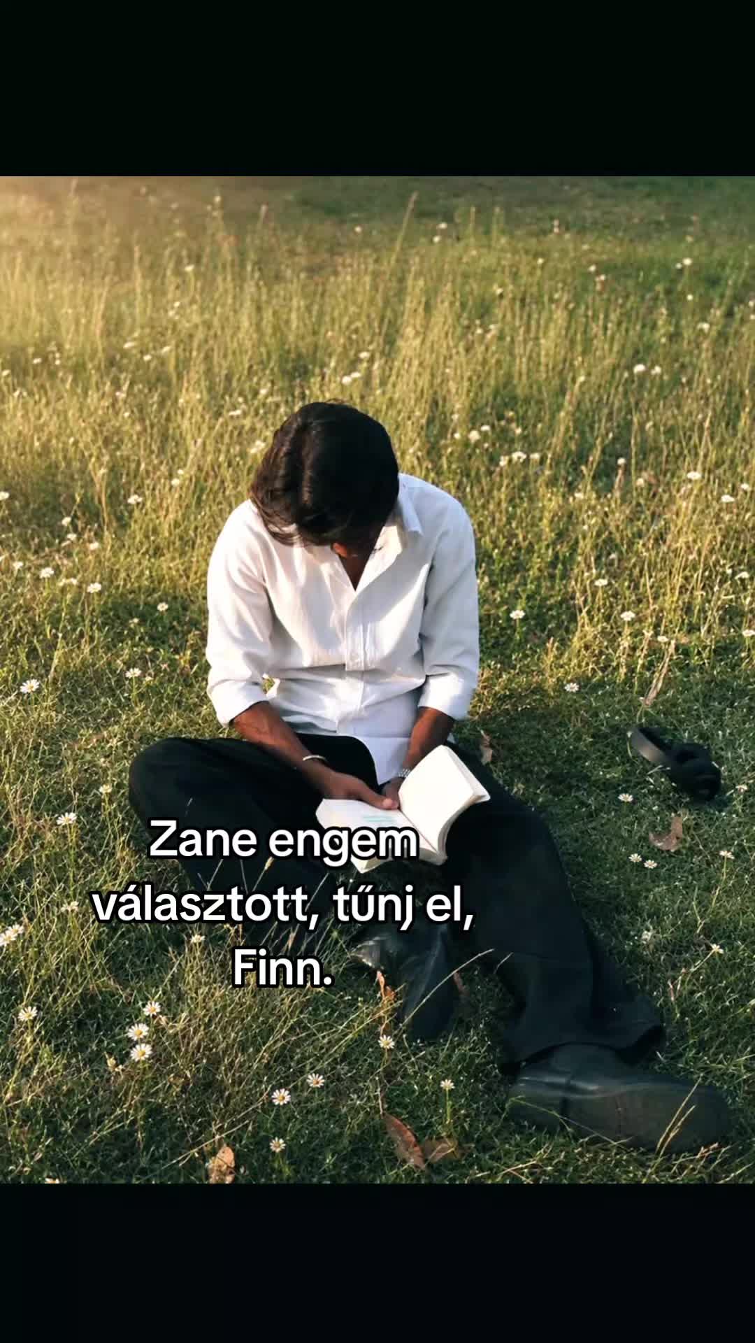 @Mezőföldi Pitypang író✍️