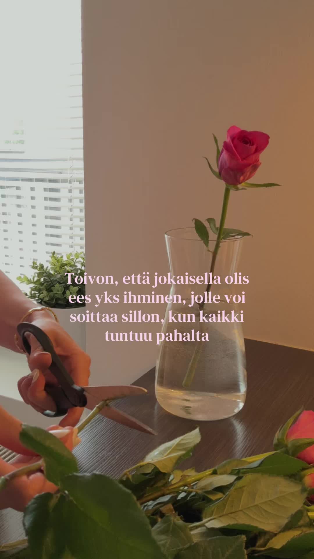 @pulkkinenaada🪽