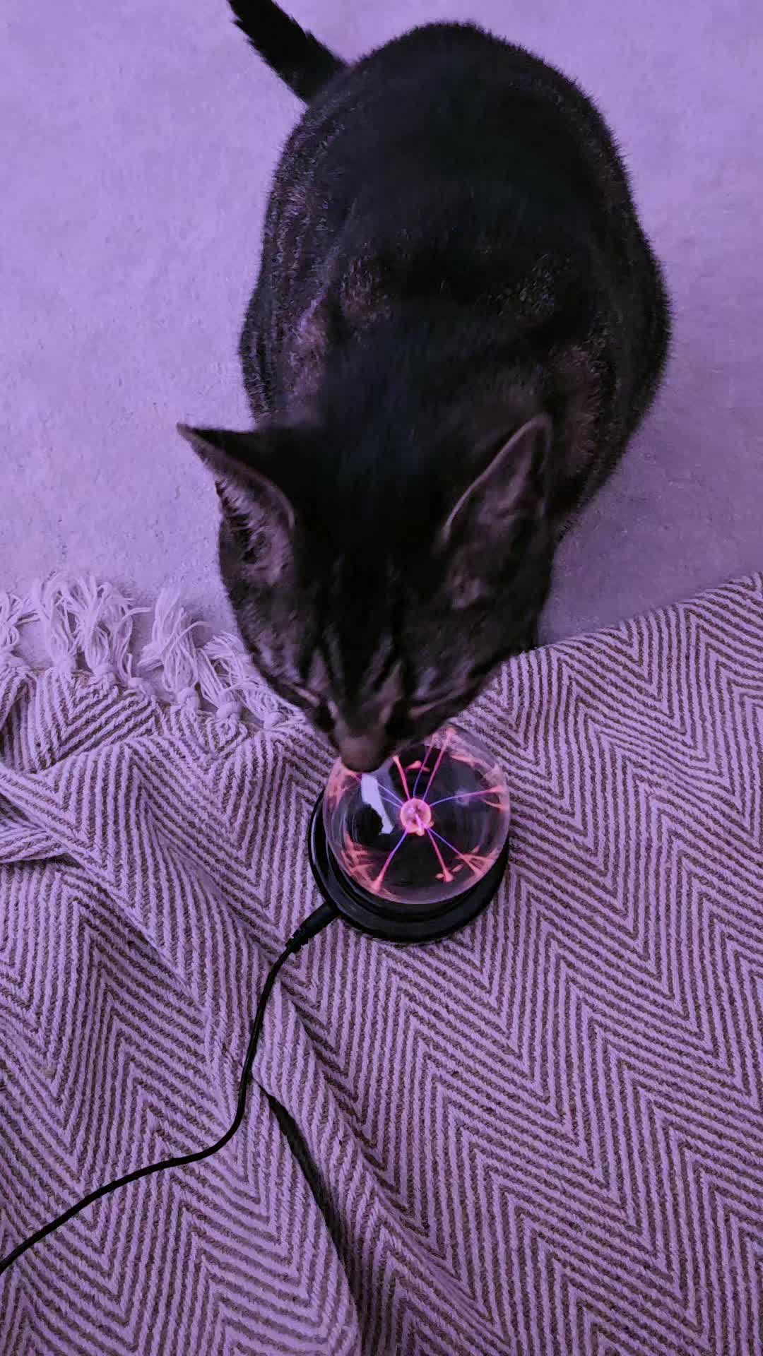 @CatmanScoop