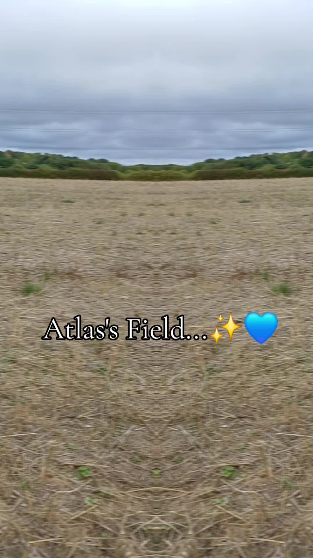 @🇬🇧❤️MastiffMum🐕💙🇬🇧