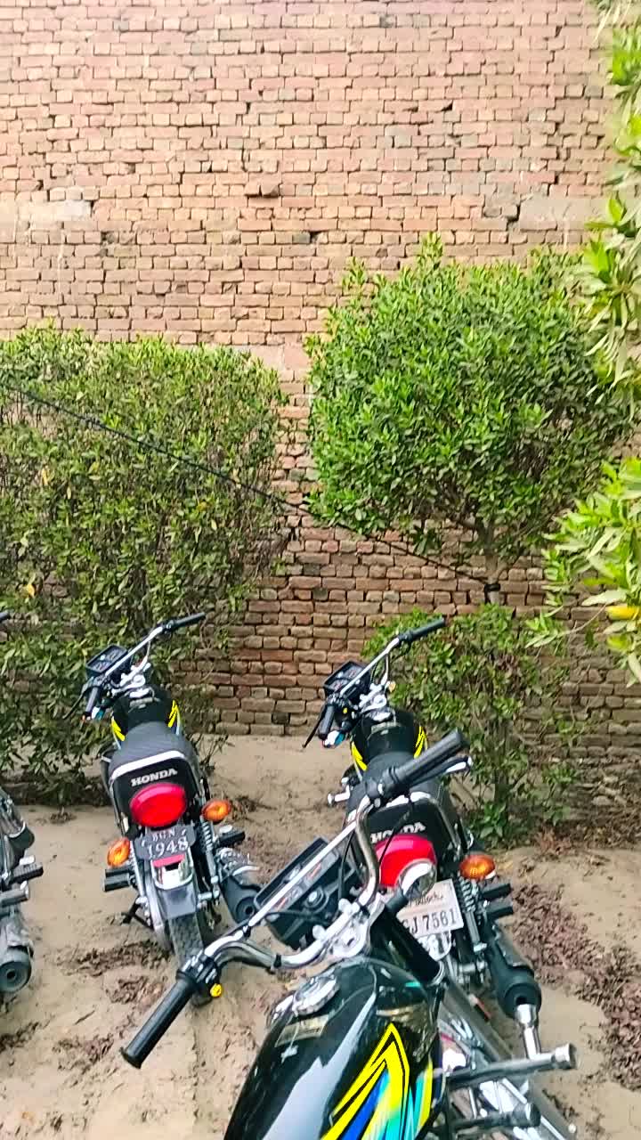 @Gujjar Saehen 🦅🦅🦅🦅🥷🥷