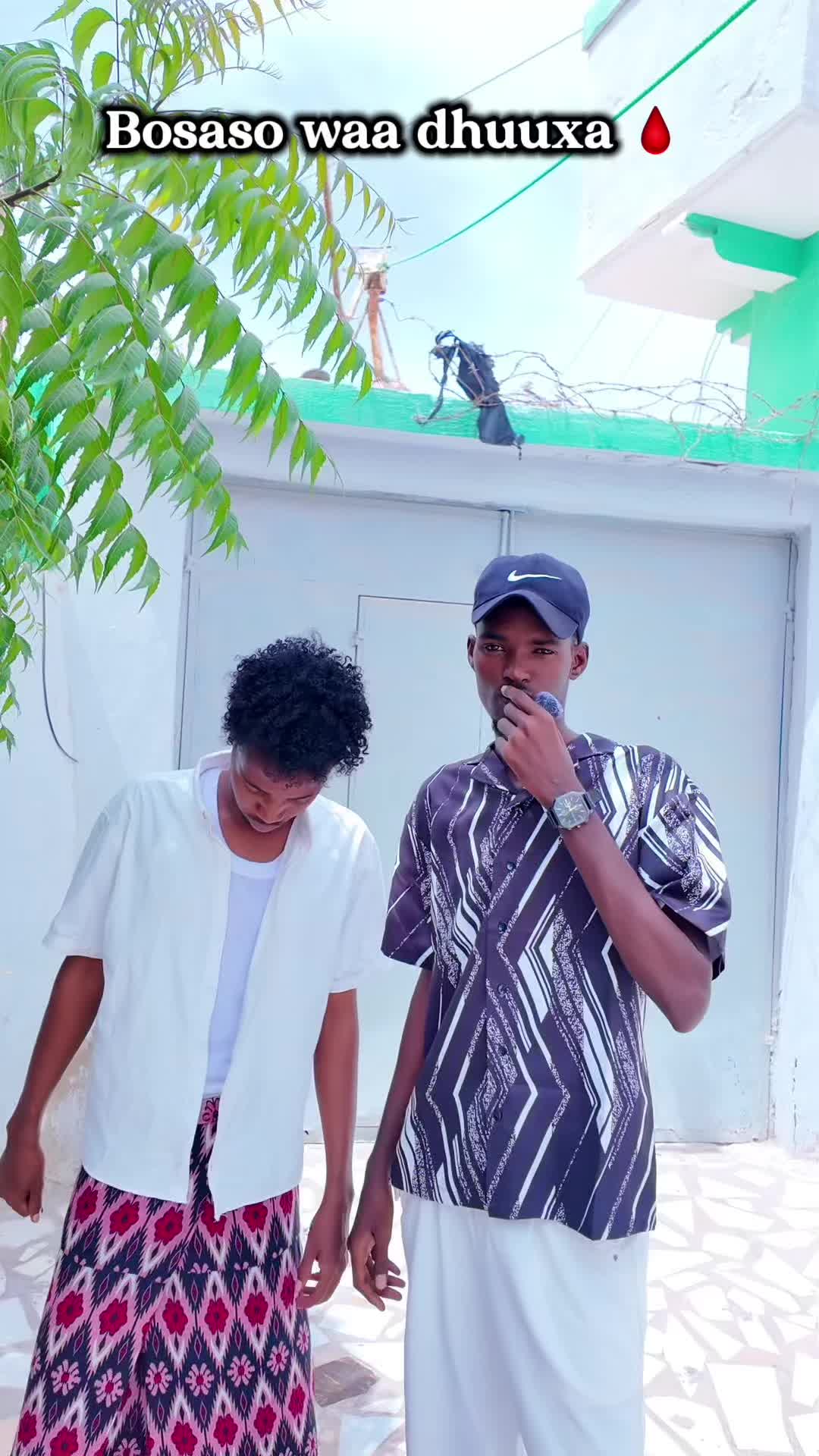 @BUUDKA 🇧🇷 🐬
