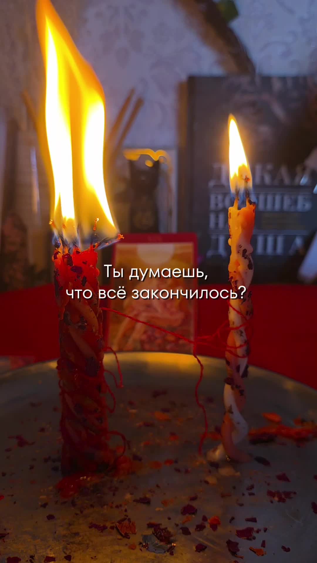 @aliceeback ~ магия жизни