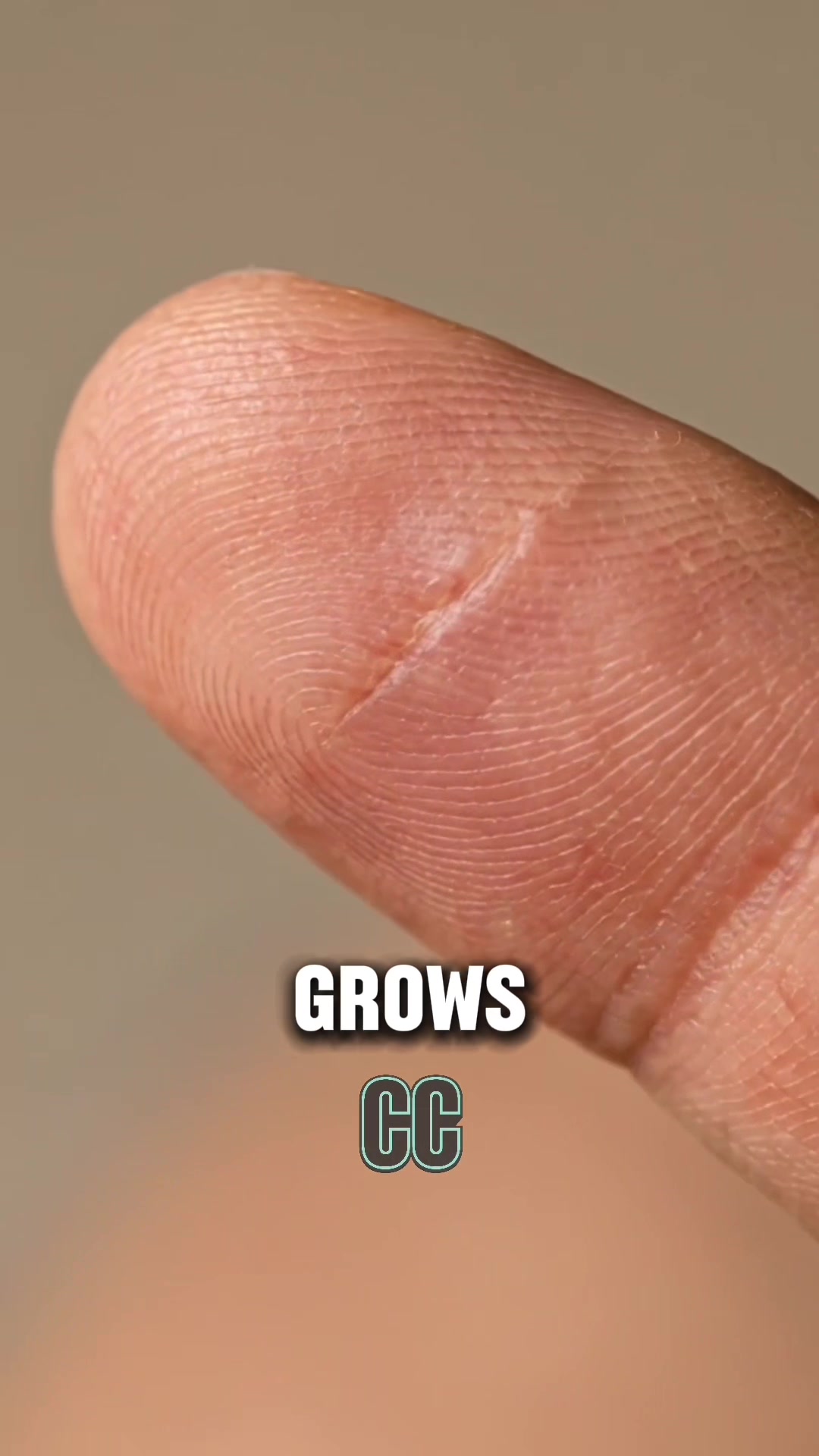 @Cool Clips