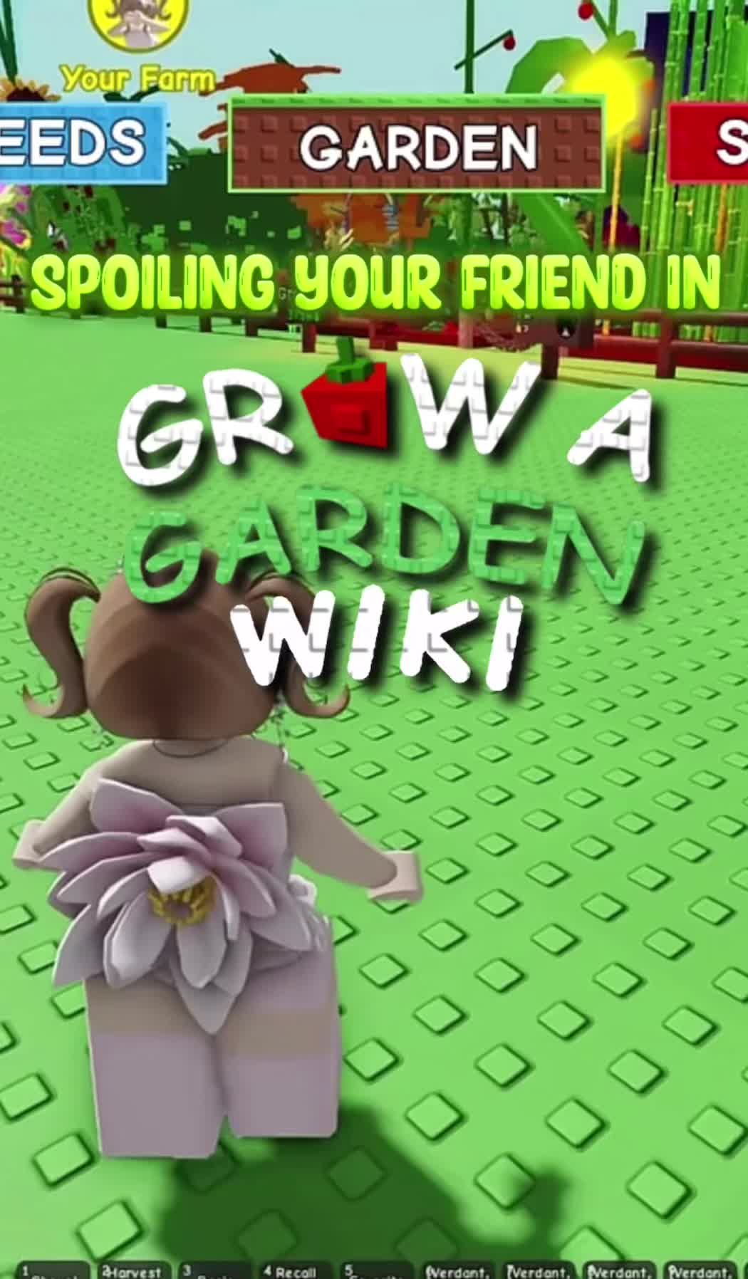 @Mimi
