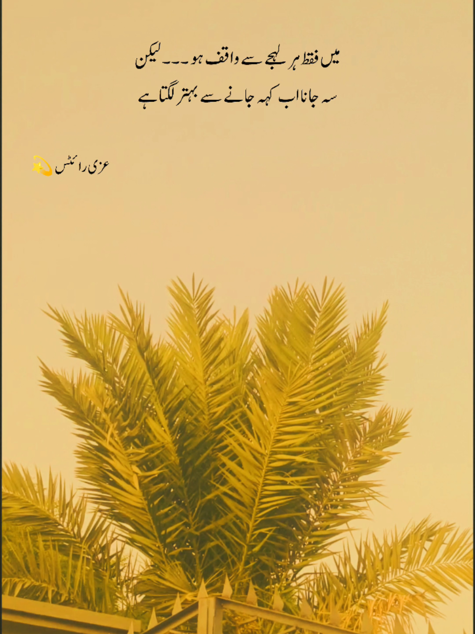 @Uzii write💫