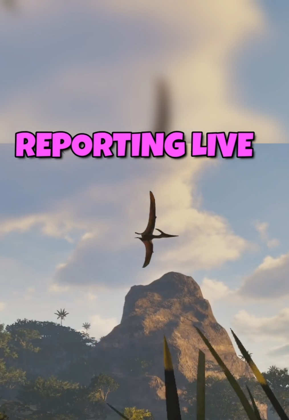 @MrGibbon