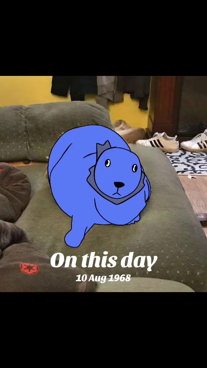 @LookyReviewsTikTok