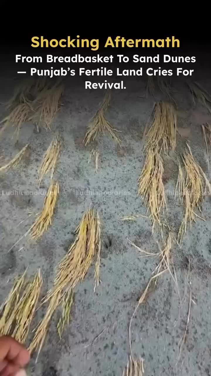 @ਪੰਜਾਬ