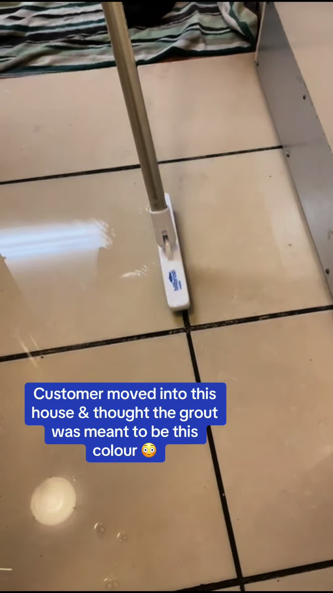 @AlphaCleaningService