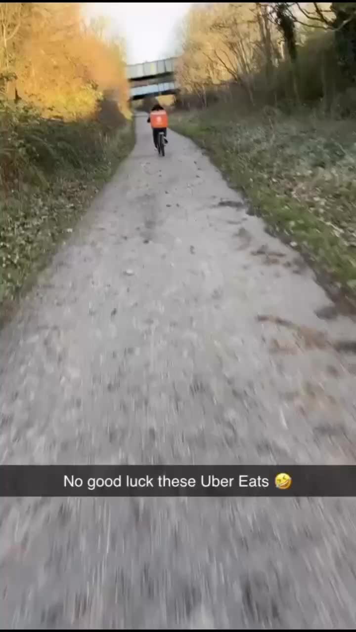 @certidogzuk