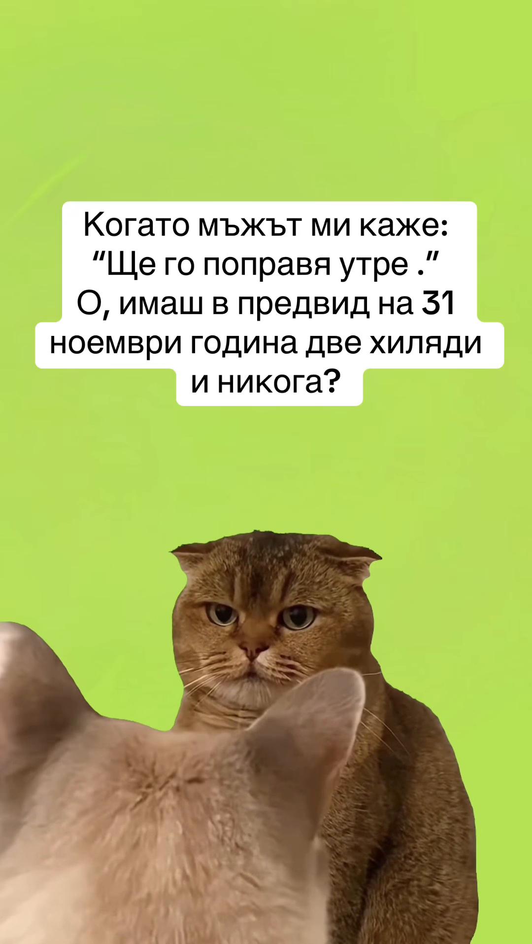 @Павлина Куцева-Сирак