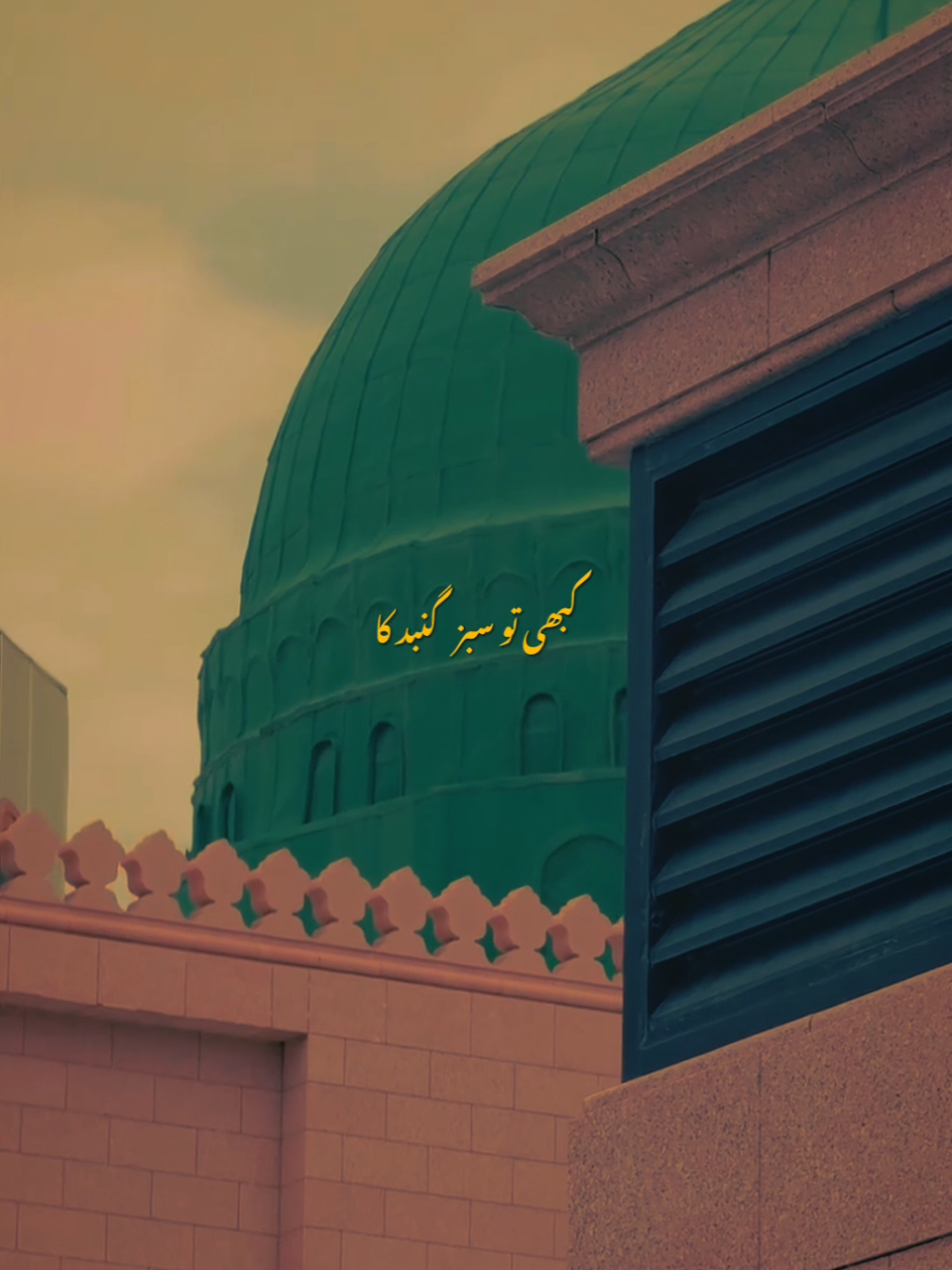 @✨𝙝𝙖𝙢𝙯𝙞𝙞✨