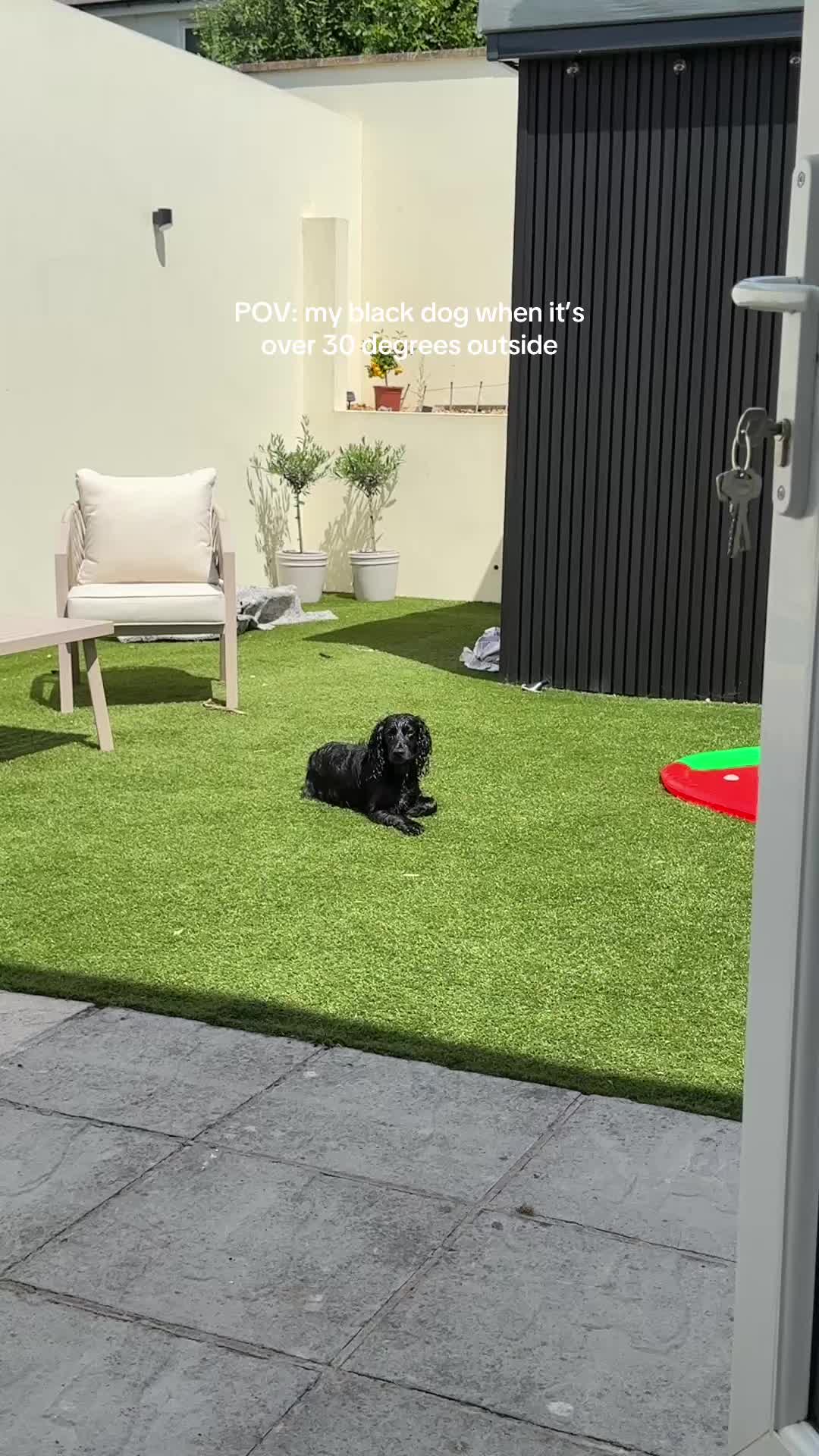 @maggie.moo.cocker