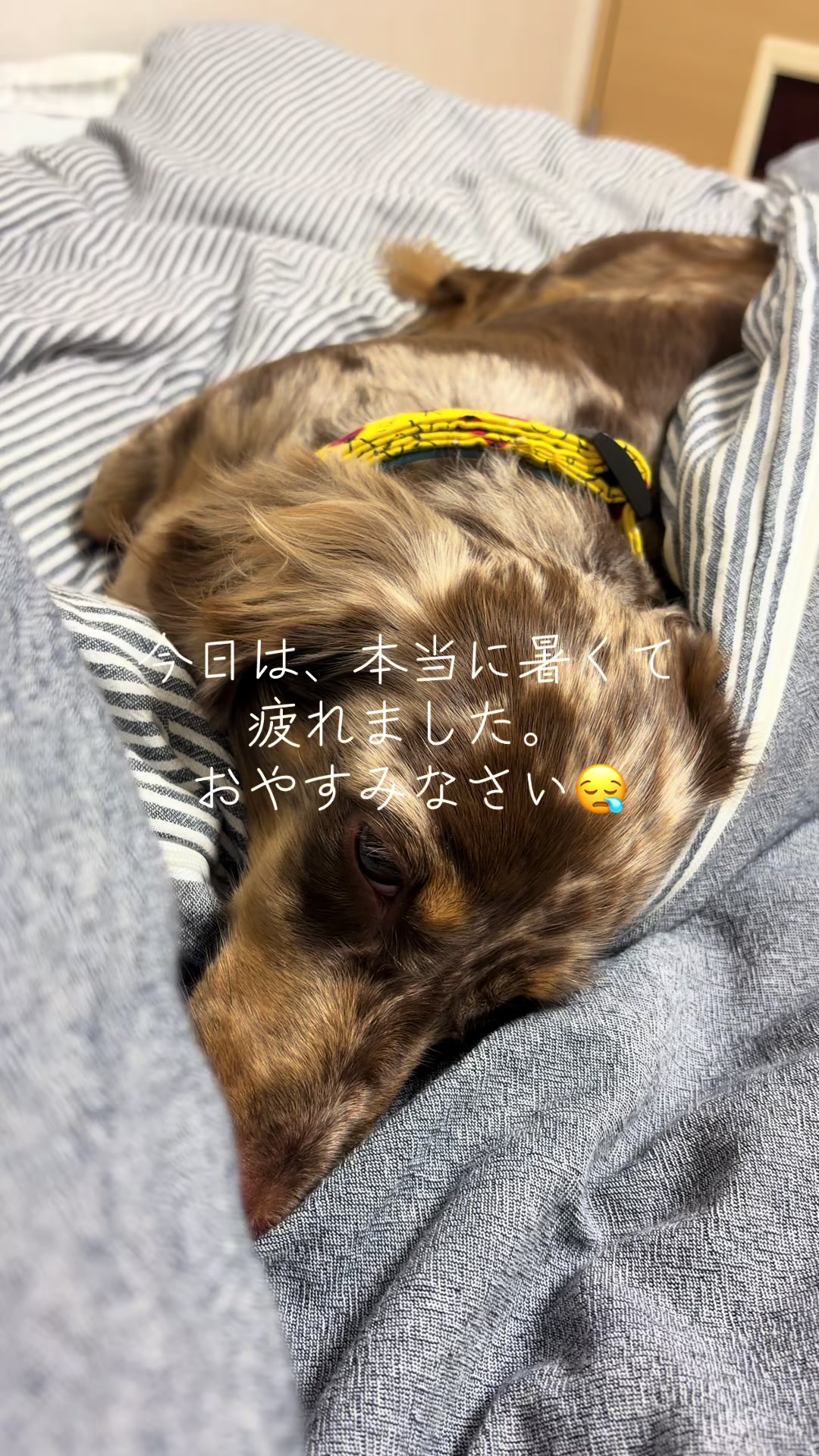 @ケン