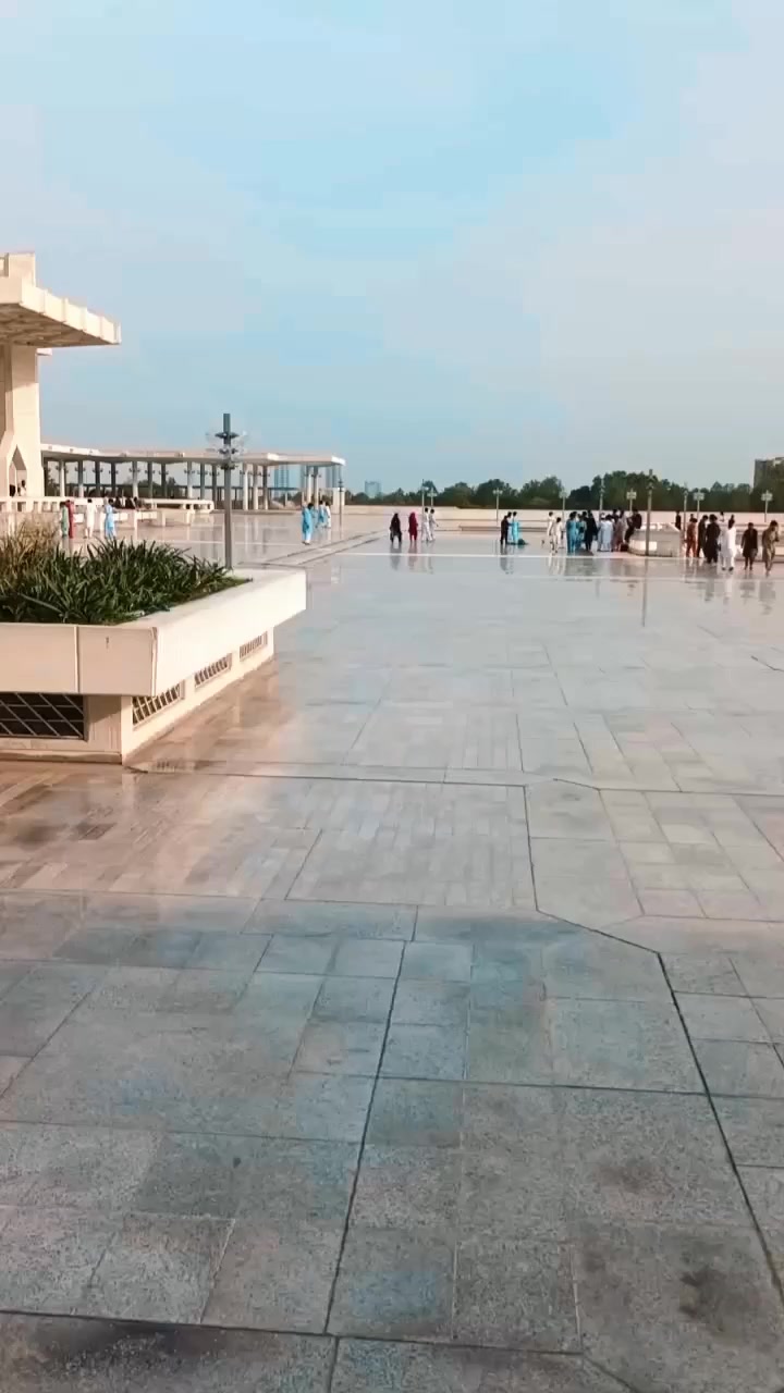 @sʰᵉʰᶻᵃᵈ ڈاکٹر