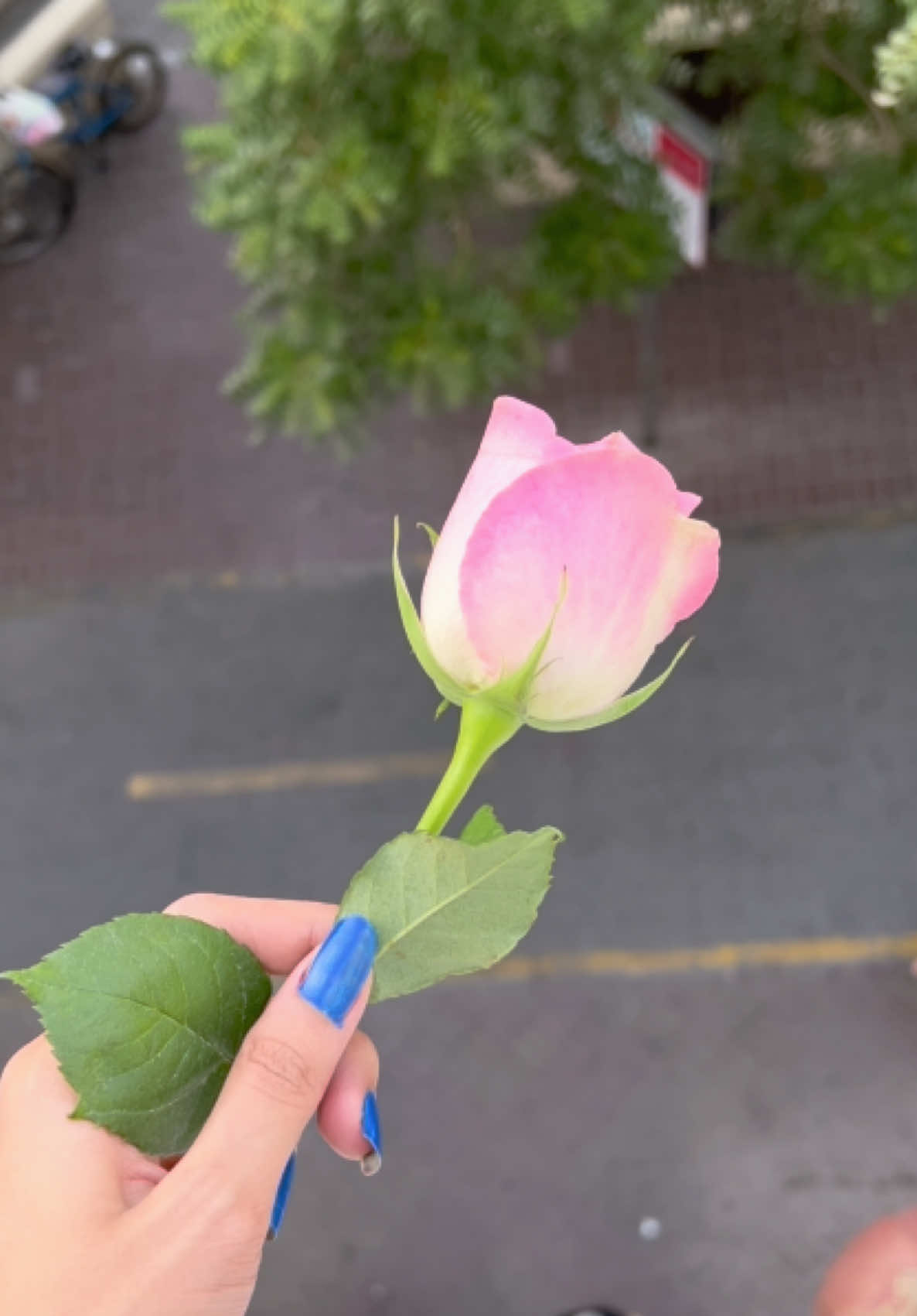 @🖤ajwah🖤