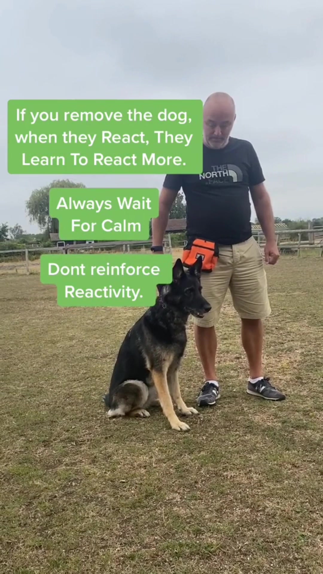@SouthendDogTraining