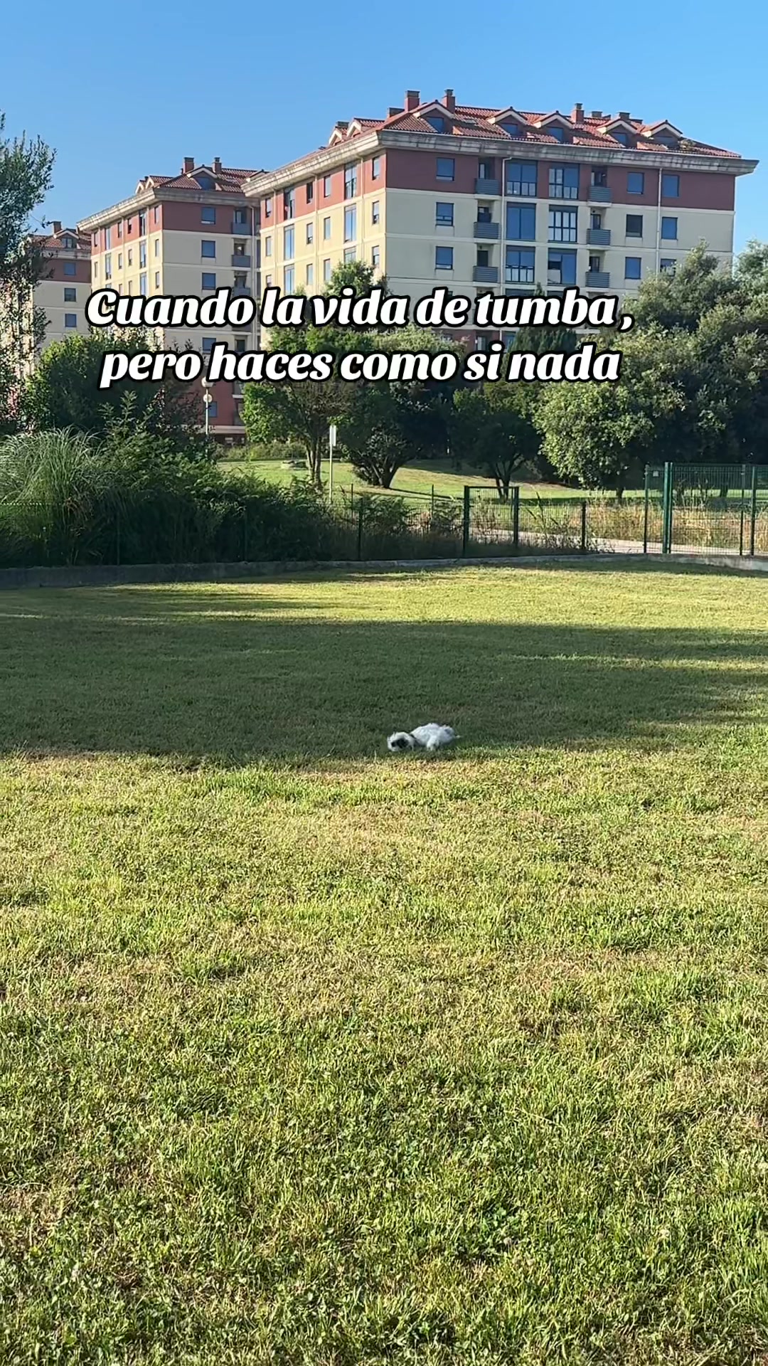@Yuki