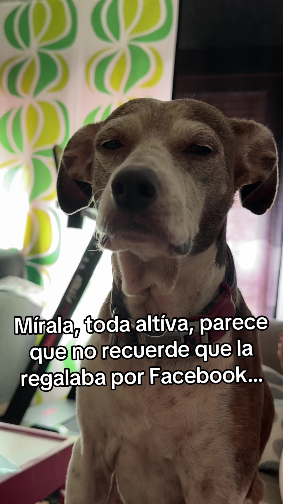 @Lesionada