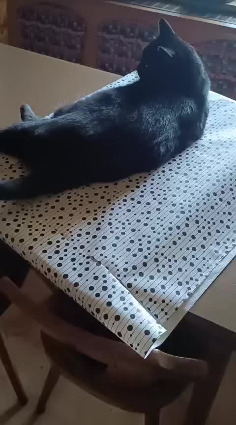 @✌️😻𝕱𝖚𝖓𝖟𝖓