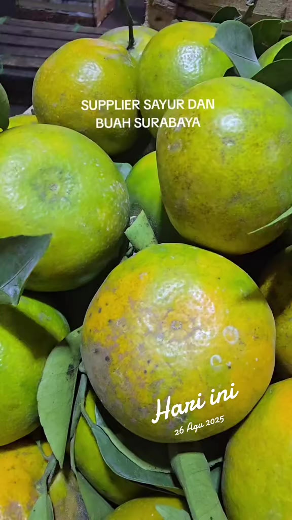 @supplier sayur dan buah sby