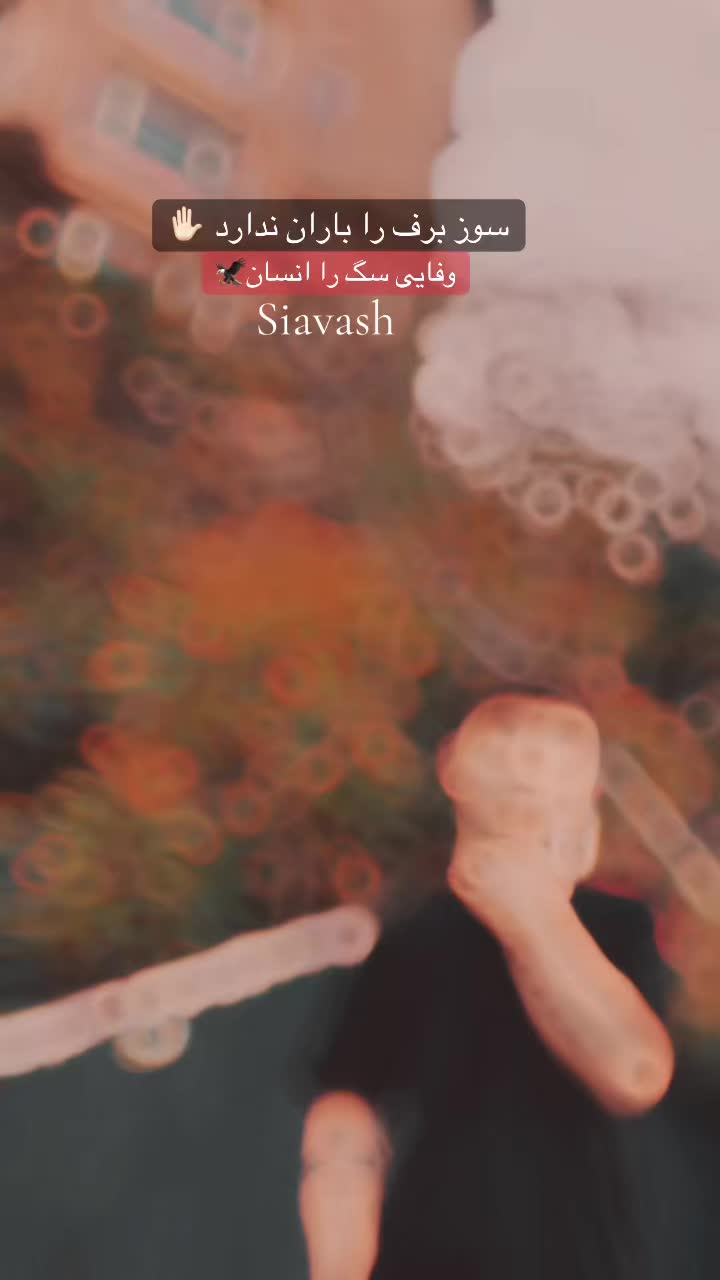 @FD_Siavash
