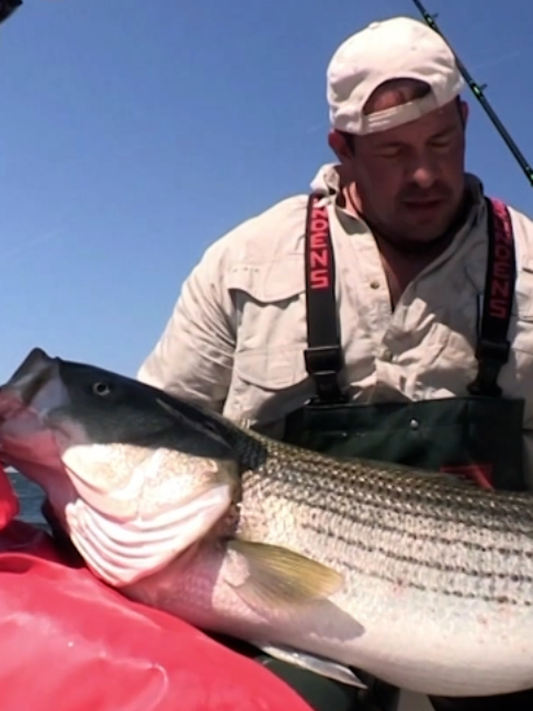 @Fishing TV