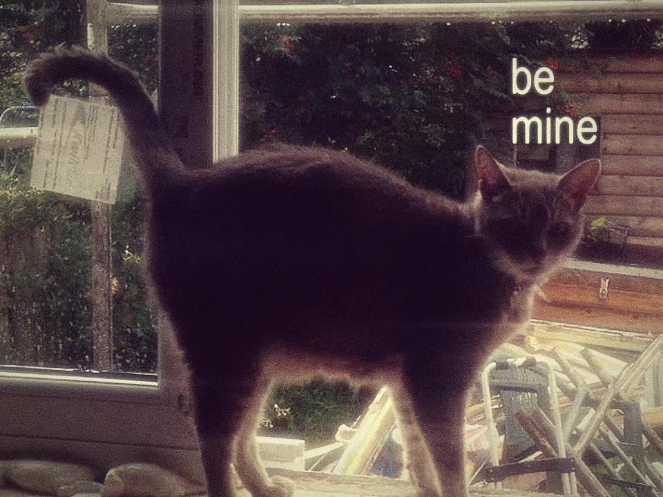 @.⋆❀°˙⋆✮𑣲𝄞— 𝓈𝒾𝑒𝓃𝓃𝒶 ⭐️🪽