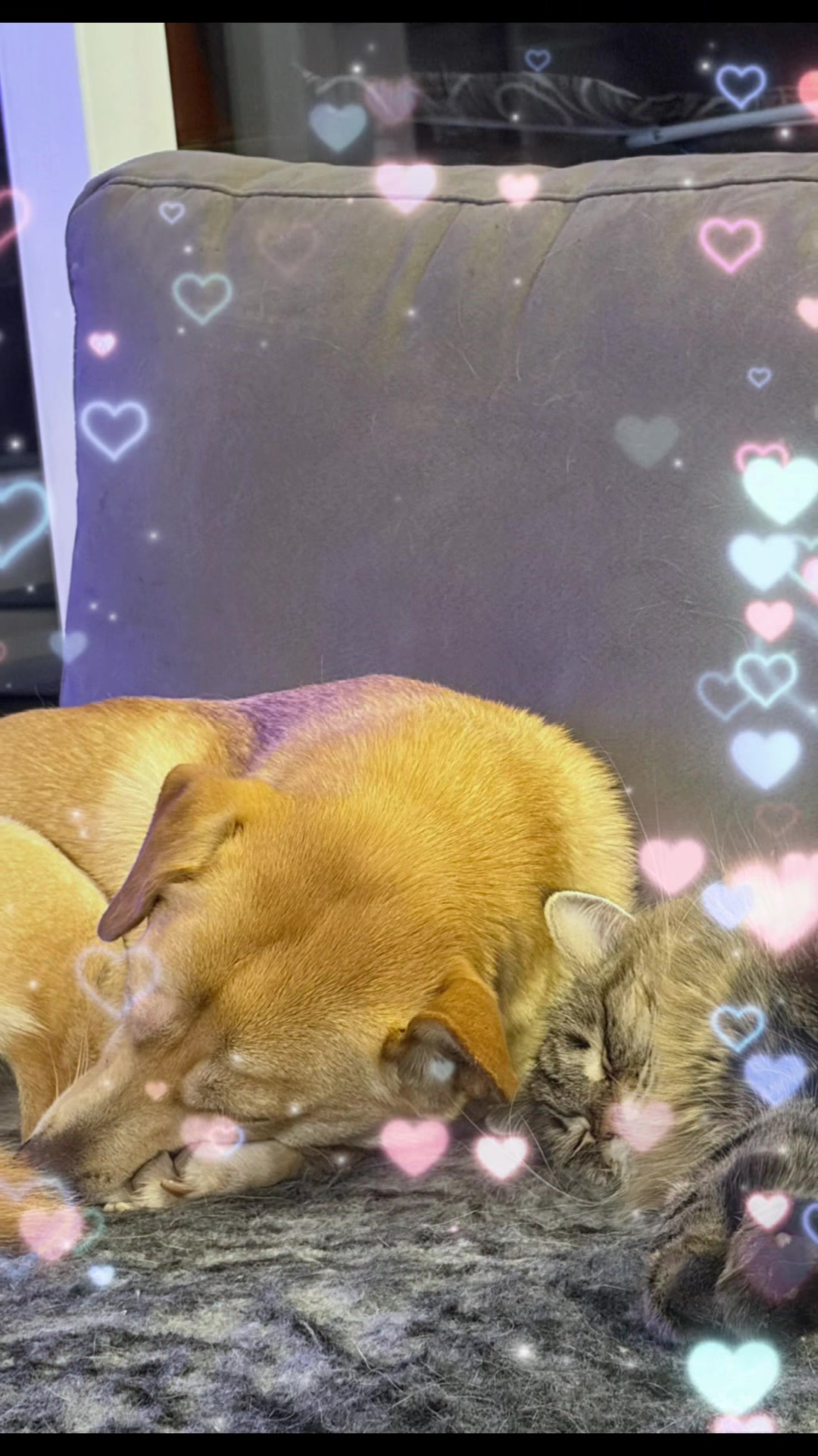 @Dona_Juggi&Winch