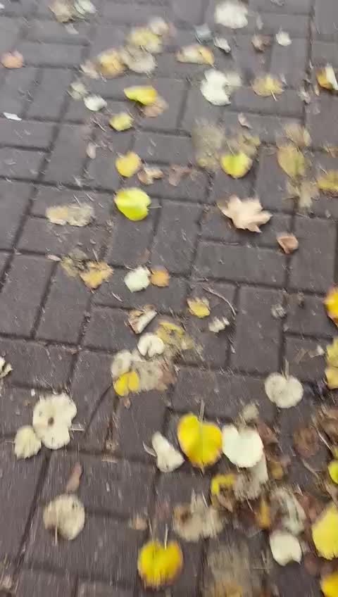@JakubBB