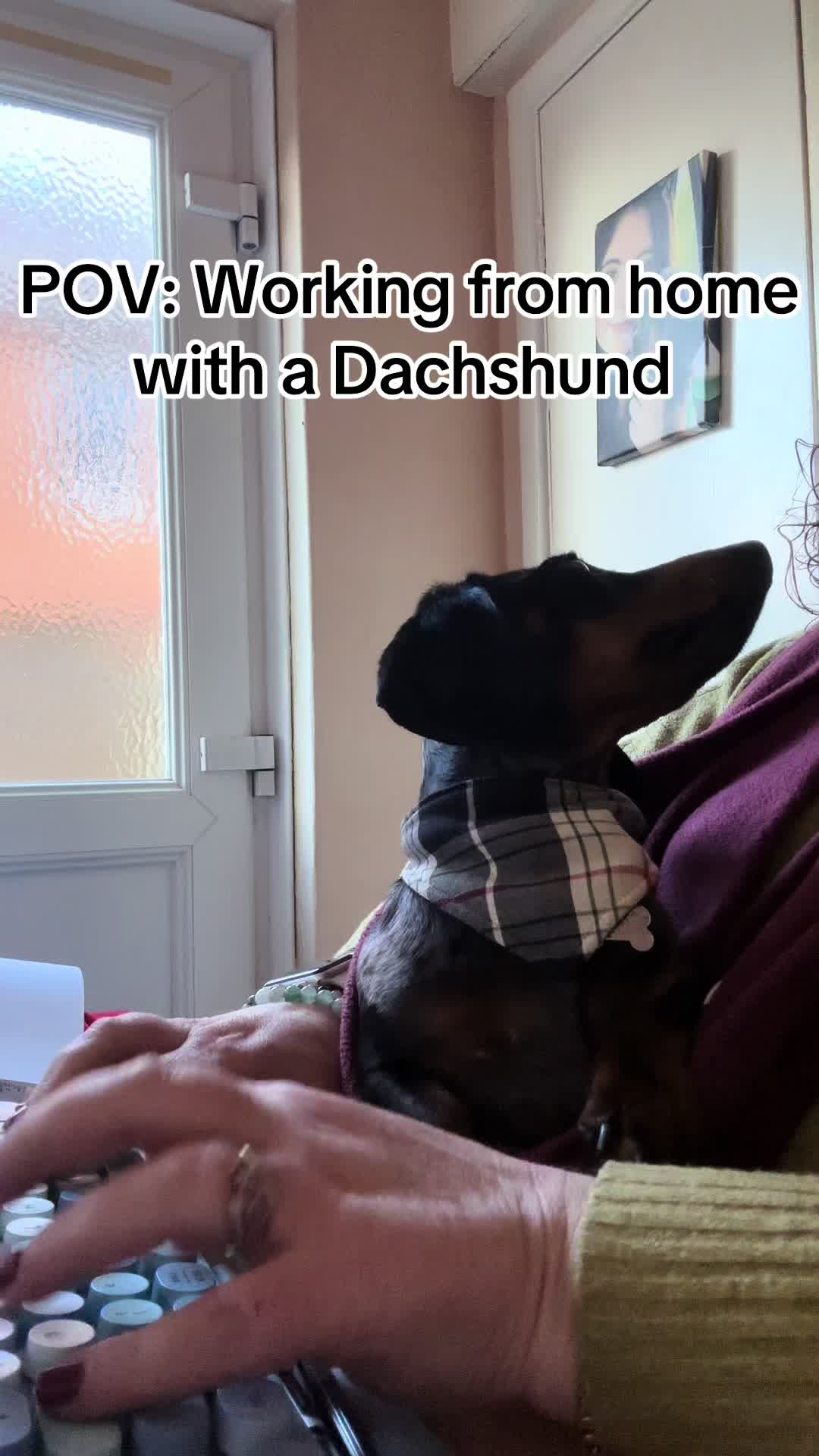 @dibblydobbly_dax