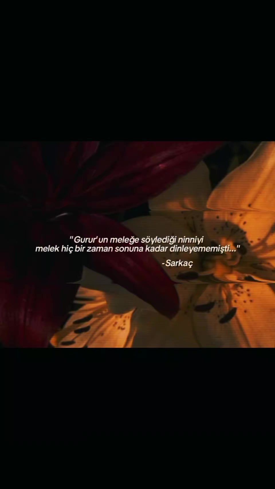 @Medine Kayıran