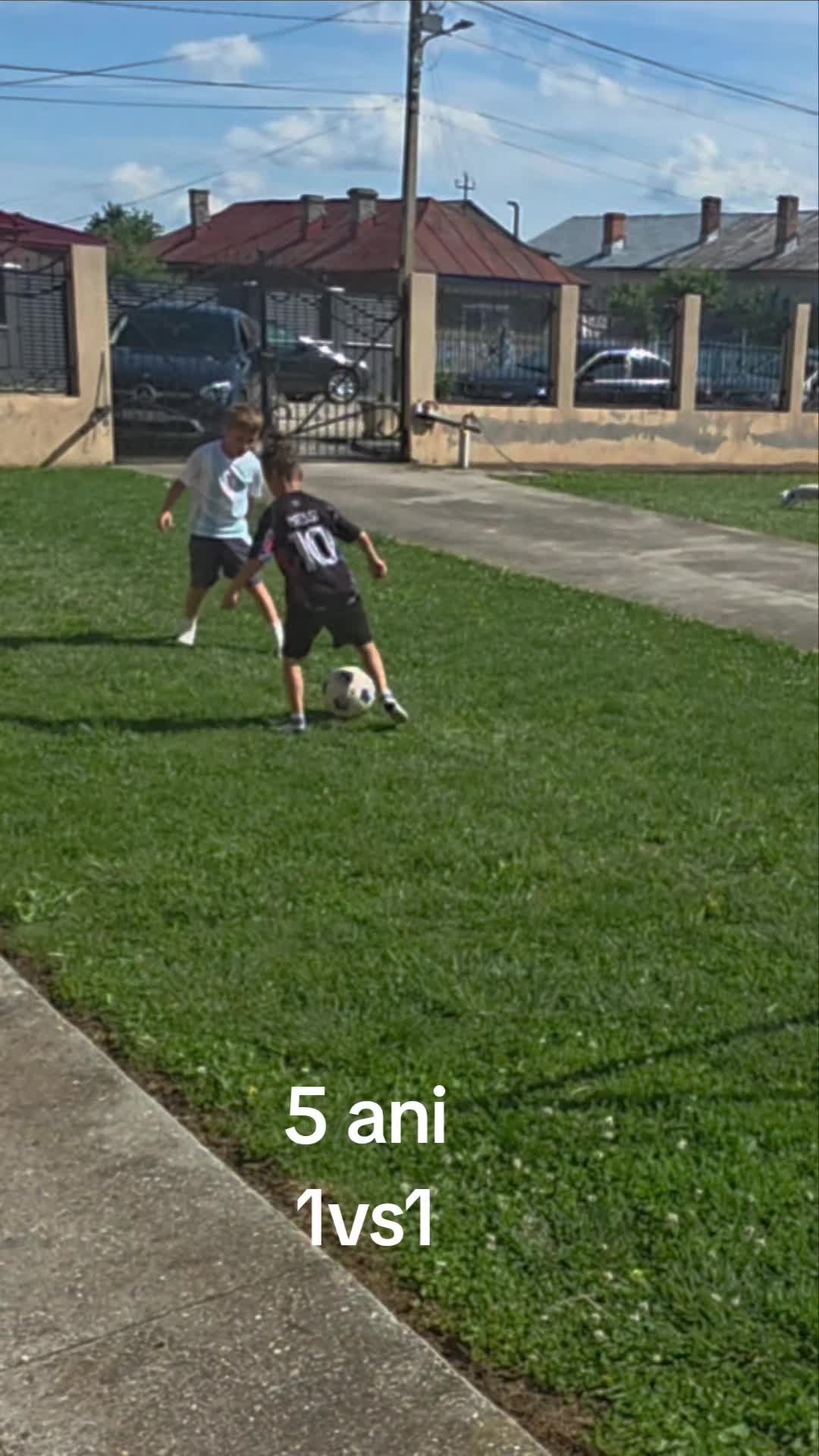 @Zian Leuţul Sudului