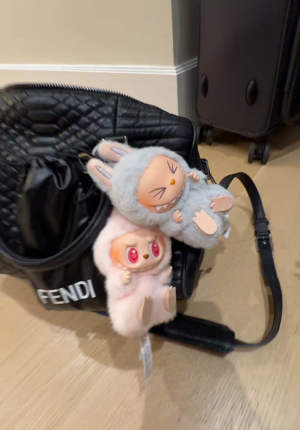 @๐๐๐๐๐๐ชฝ๐ซง ๐น