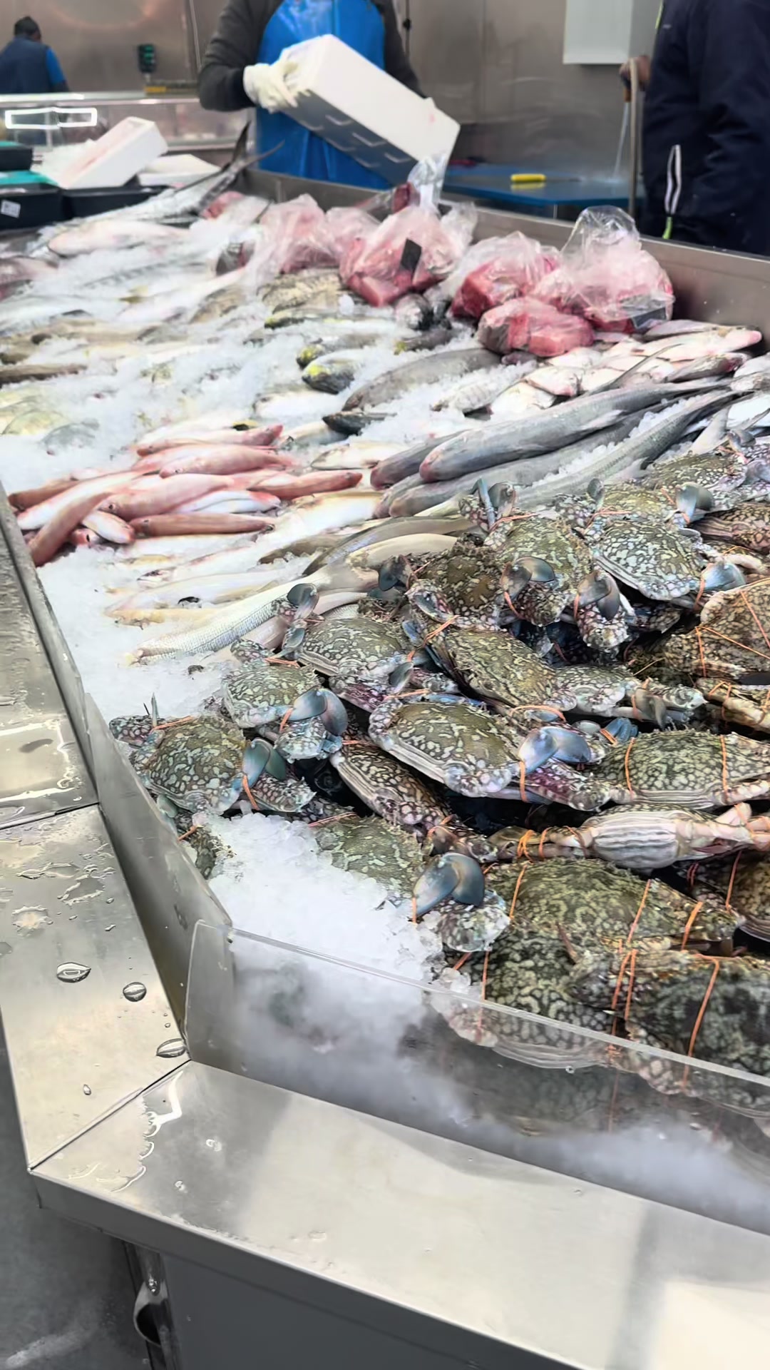 @Fishworld and Halal Meat