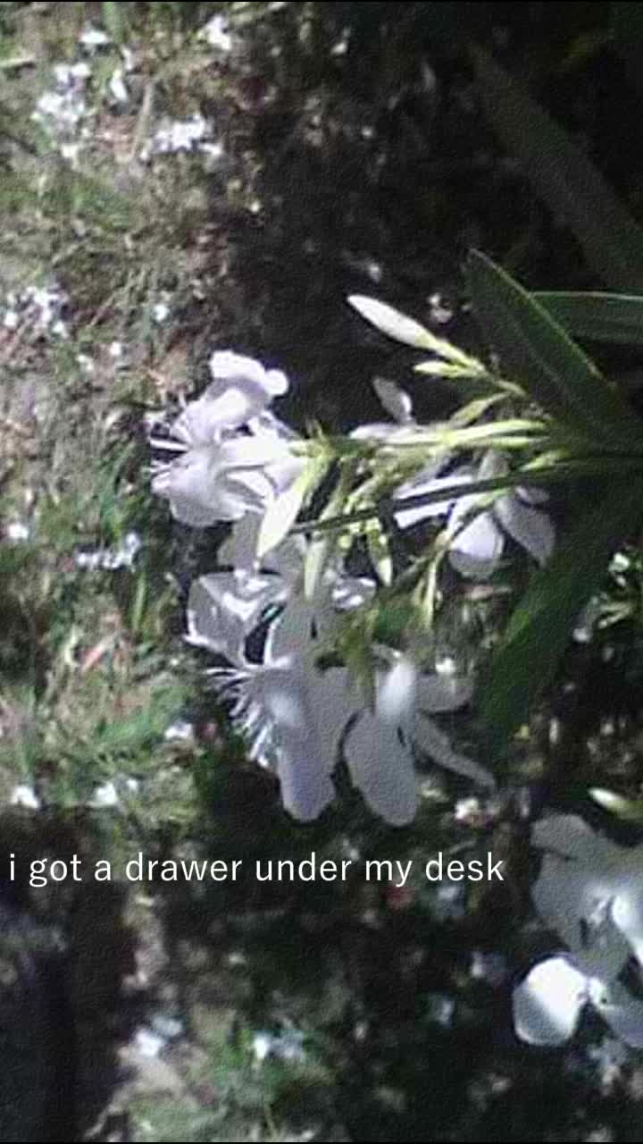 @Answers