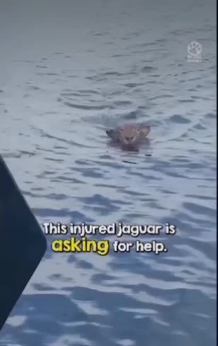 @Jo