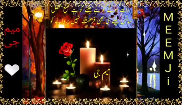 @🌹MeEm jEe SHeIkH میم جی 🌹Uk