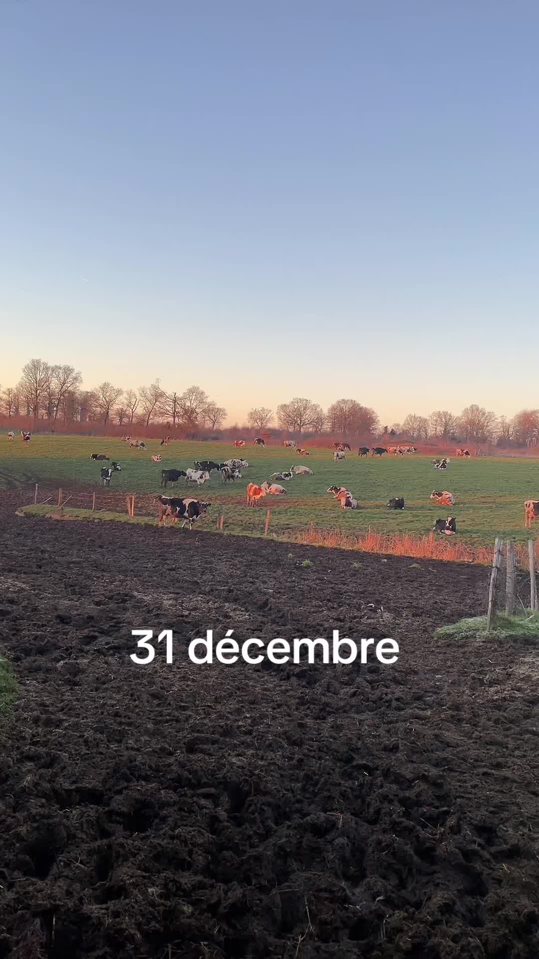 @Mikaeltamalet12220