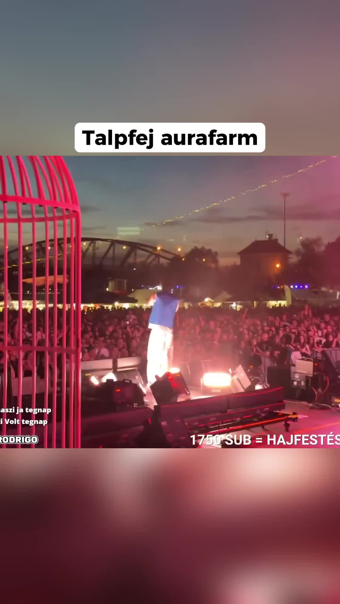 @77patrik