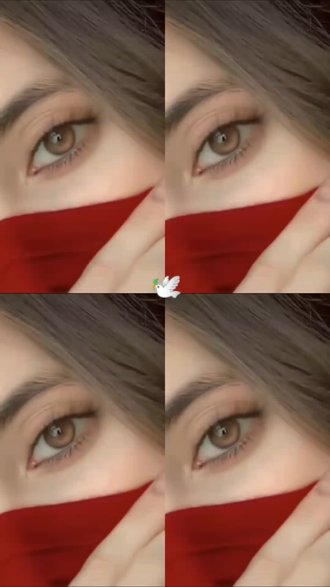 @🕊⃝𝑬𝑴𝑨𝑵🐿❤️🩹