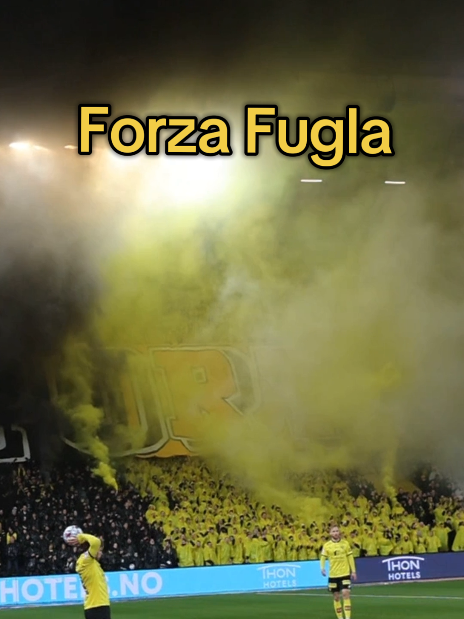 @frofoto